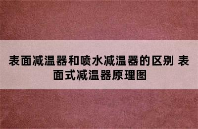 表面减温器和喷水减温器的区别 表面式减温器原理图